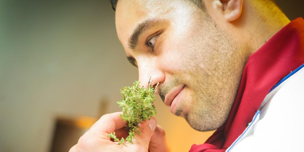 Google Research desenvolve IA que pode identificar odores