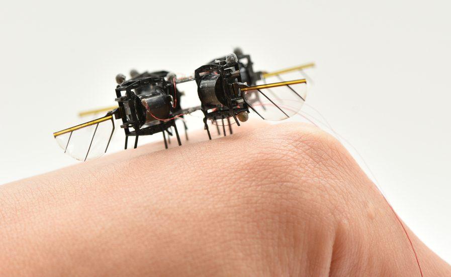 MIT projeta microrrobô que voa tão rápido quanto uma mosca